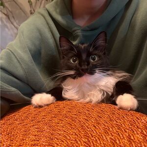 Meet your Posher, Grace